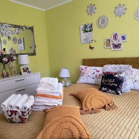 Sweet Butterflies Residence Брашов Экстерьер фото