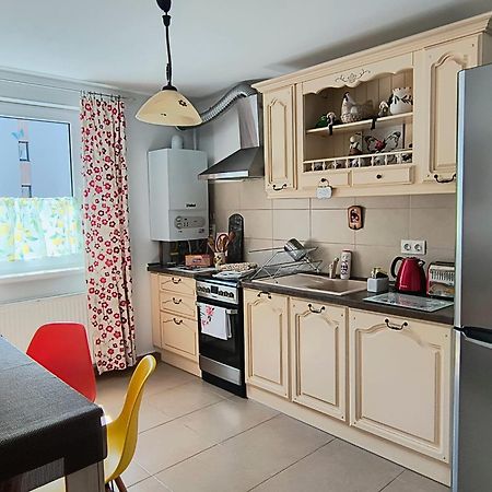Sweet Butterflies Residence Брашов Экстерьер фото