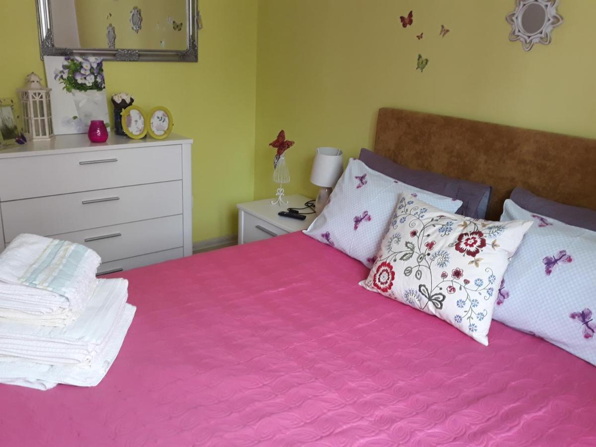 Sweet Butterflies Residence Брашов Экстерьер фото