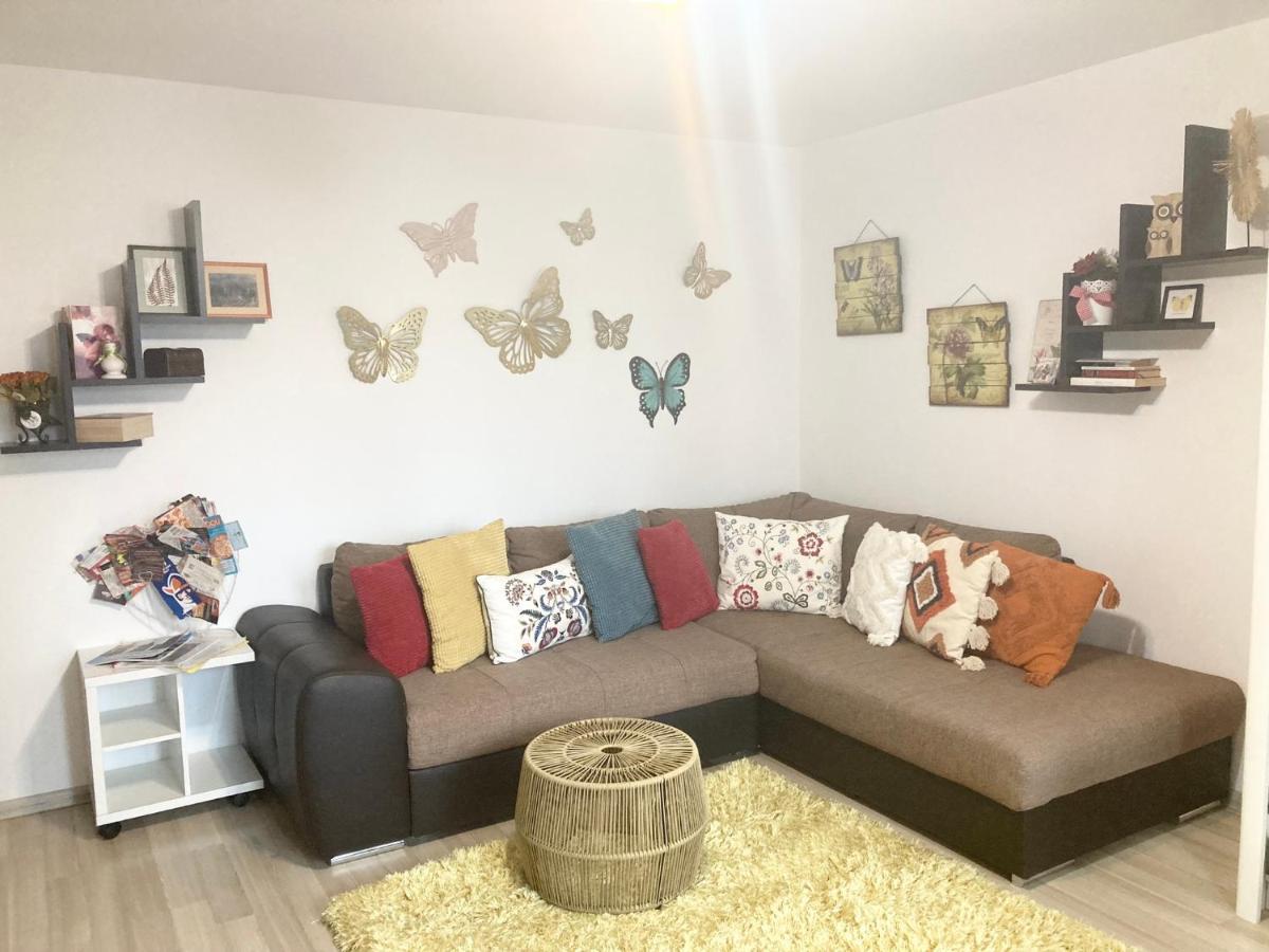 Sweet Butterflies Residence Брашов Экстерьер фото