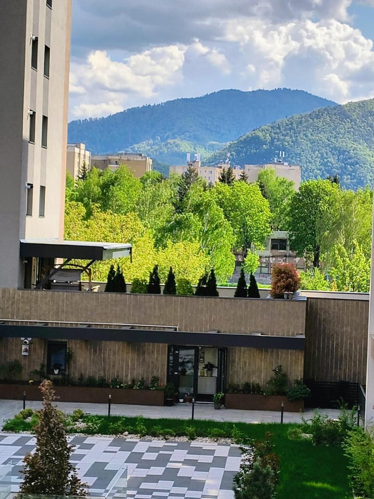 Sweet Butterflies Residence Брашов Экстерьер фото