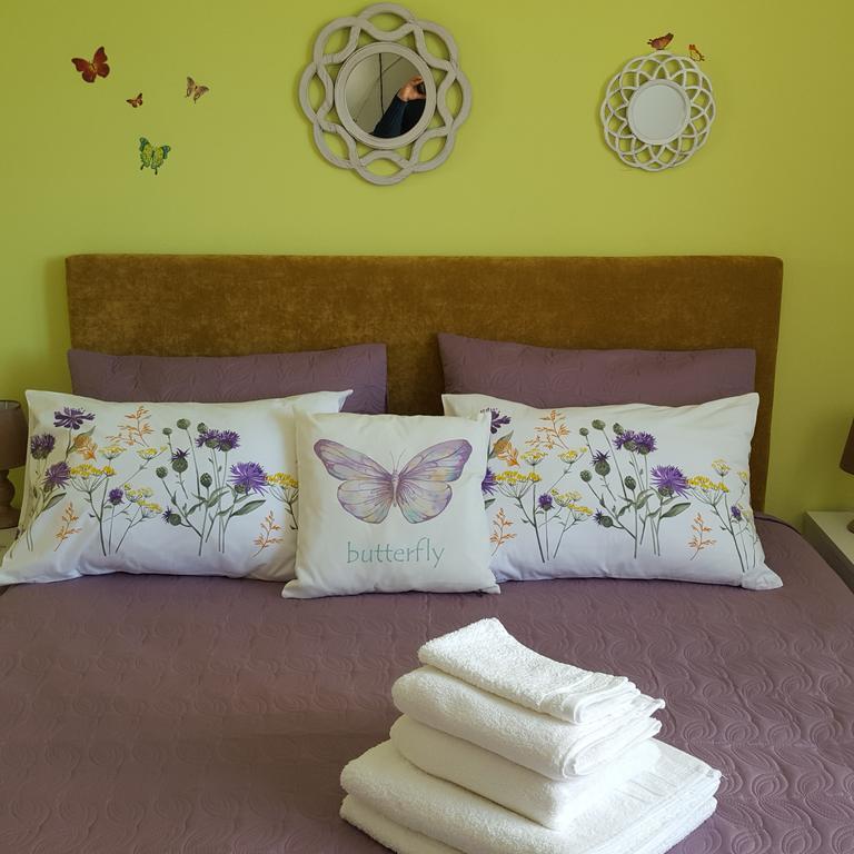 Sweet Butterflies Residence Брашов Экстерьер фото