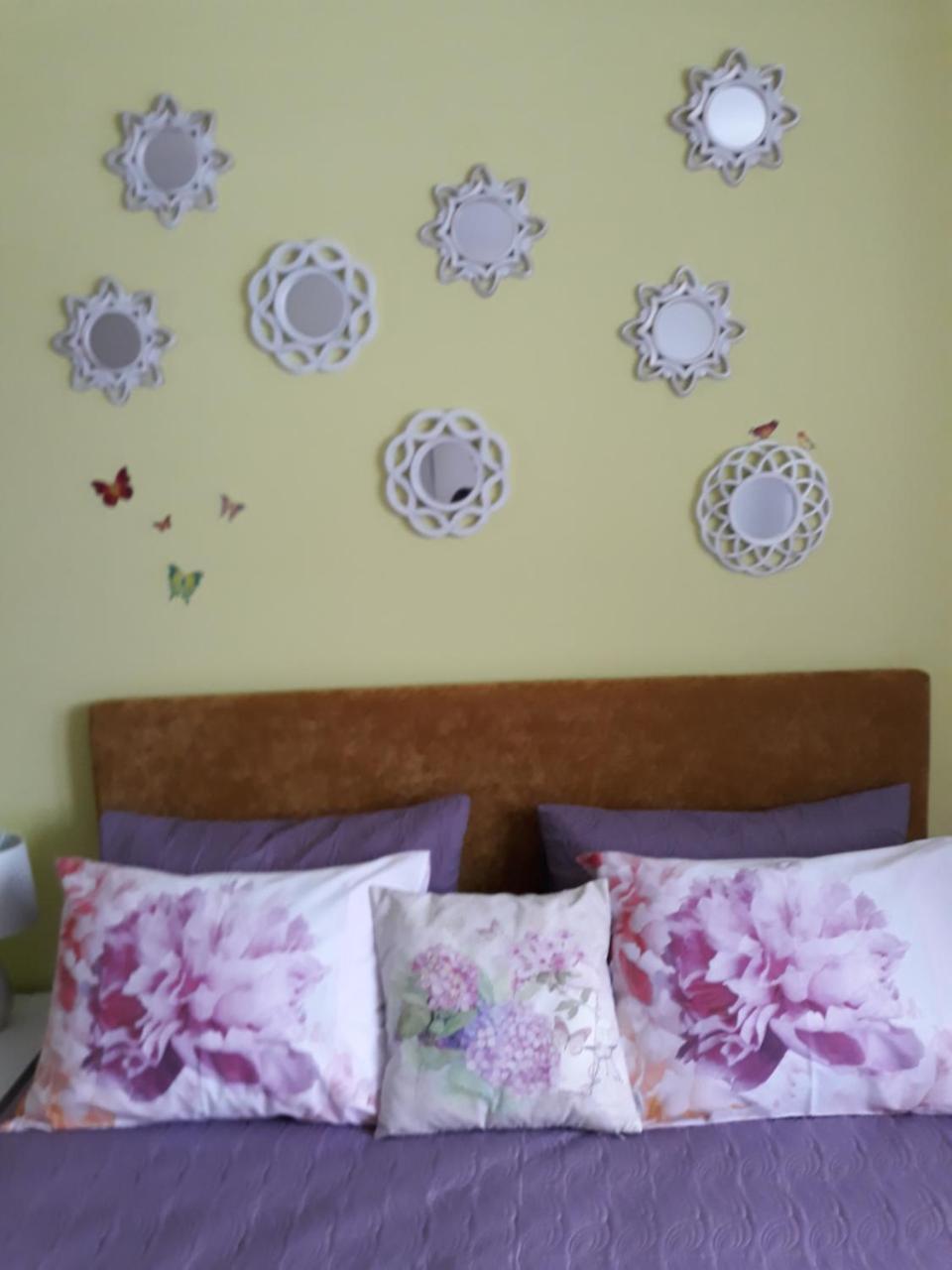 Sweet Butterflies Residence Брашов Экстерьер фото